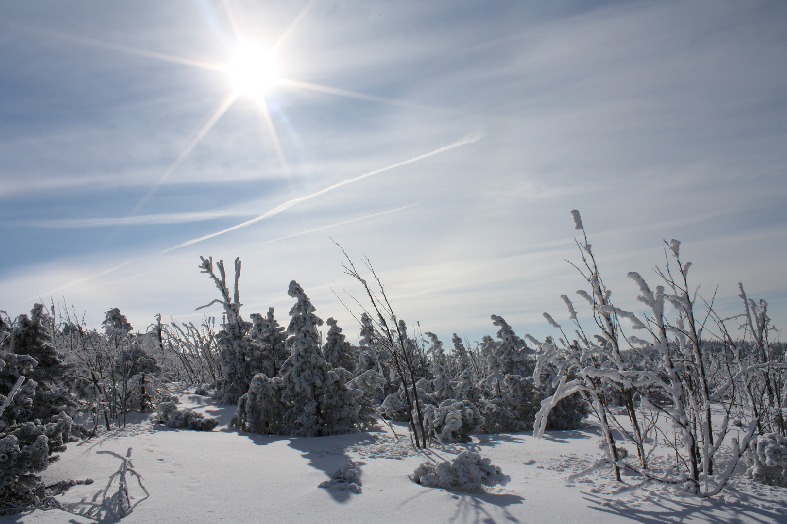 Auf dem Fichtelberg