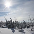 Auf dem Fichtelberg