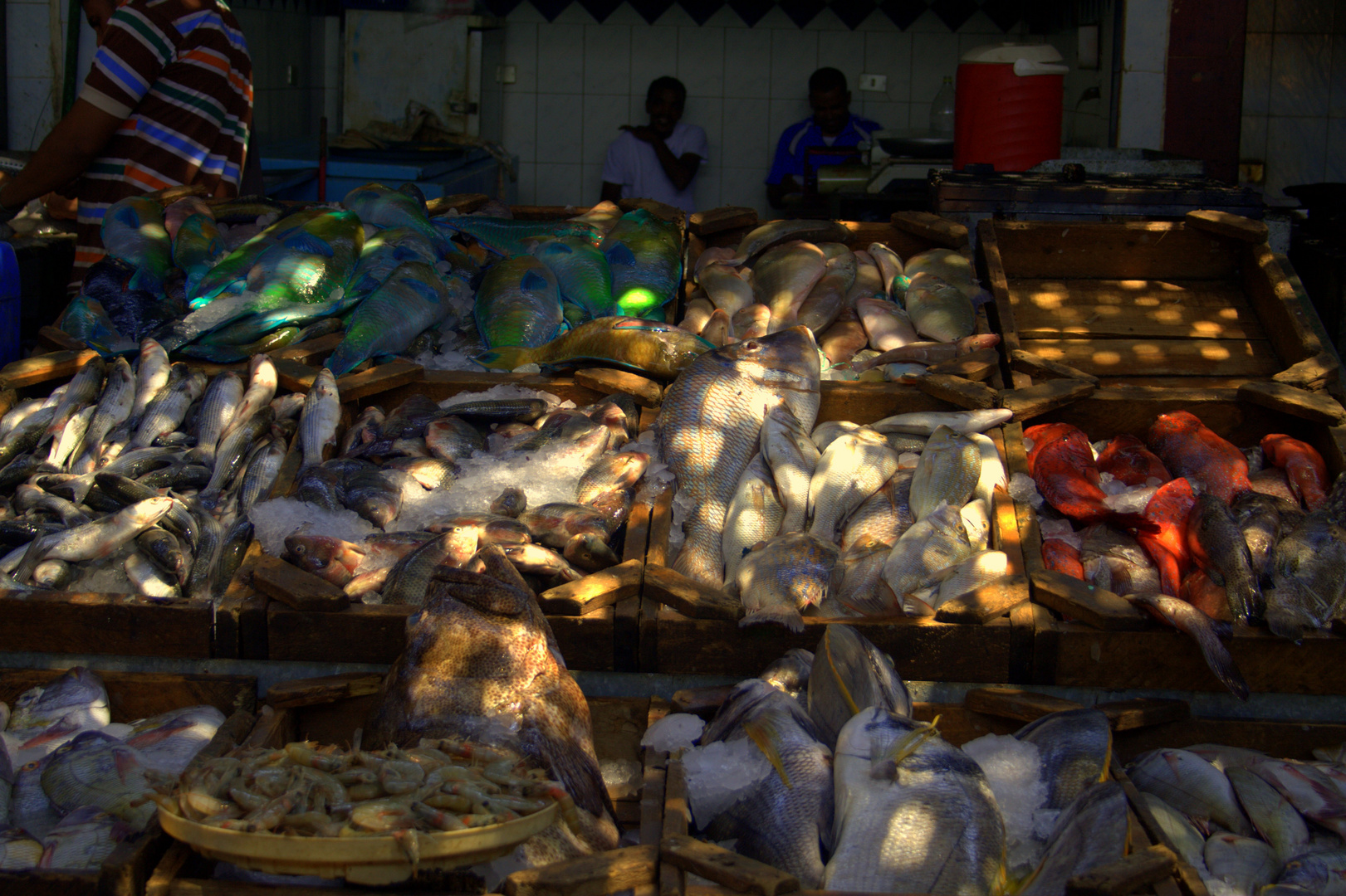 Auf dem Fischmarkt