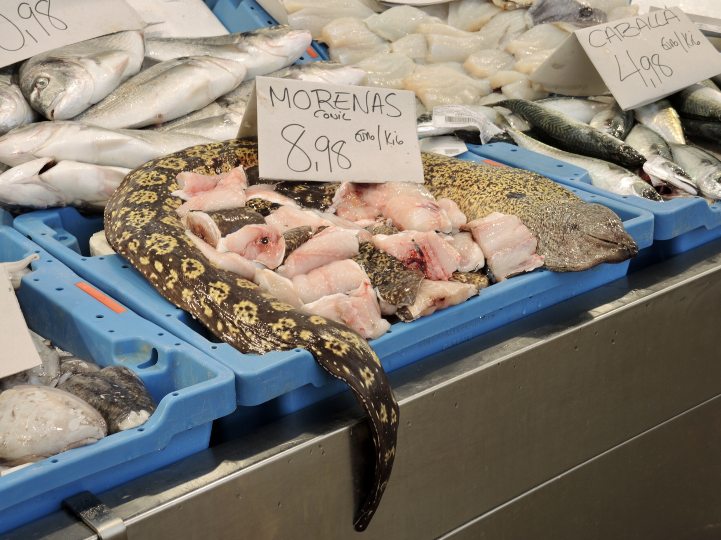 Auf dem Fischmarkt in Cádiz (2)