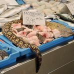 Auf dem Fischmarkt in Cádiz (2)