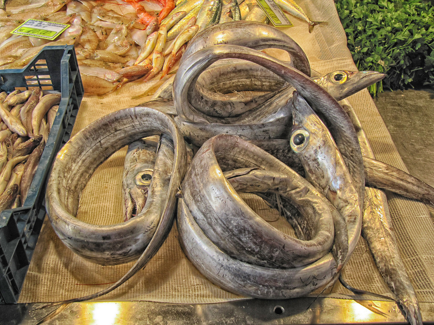 Auf dem Fischmarkt von Catania