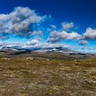 auf dem Fjell