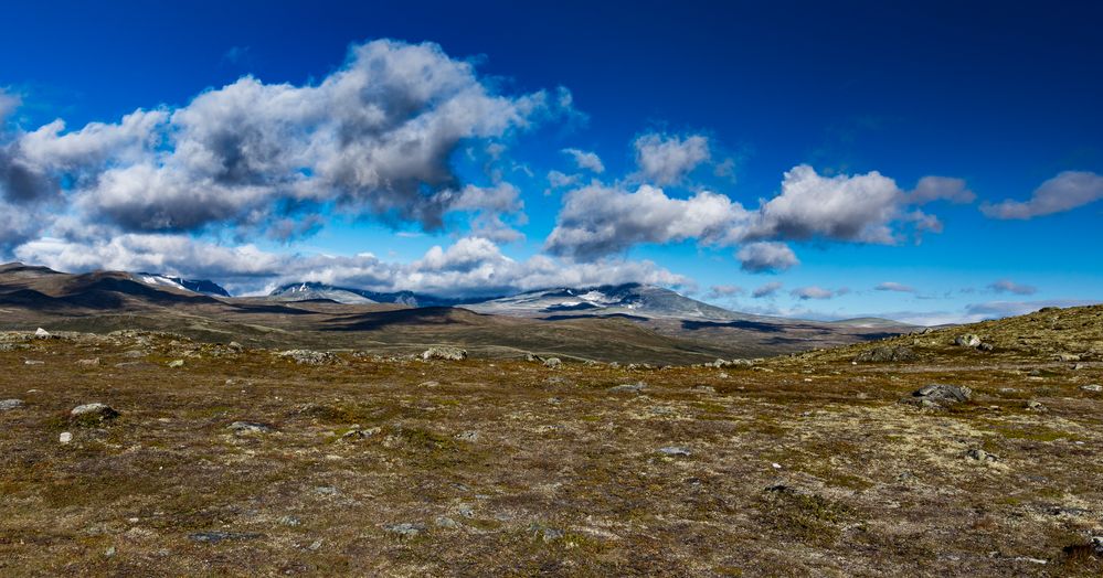 auf dem Fjell