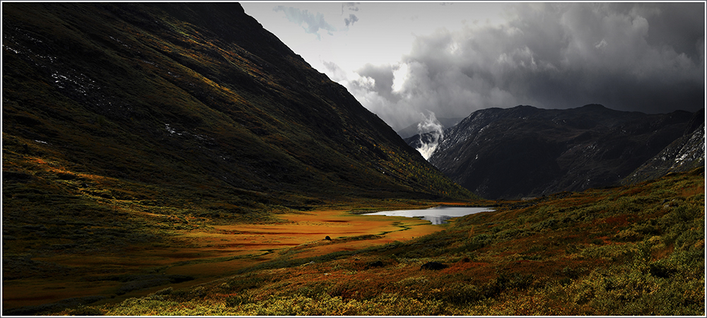 Auf dem Fjell