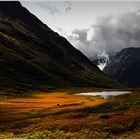 Auf dem Fjell