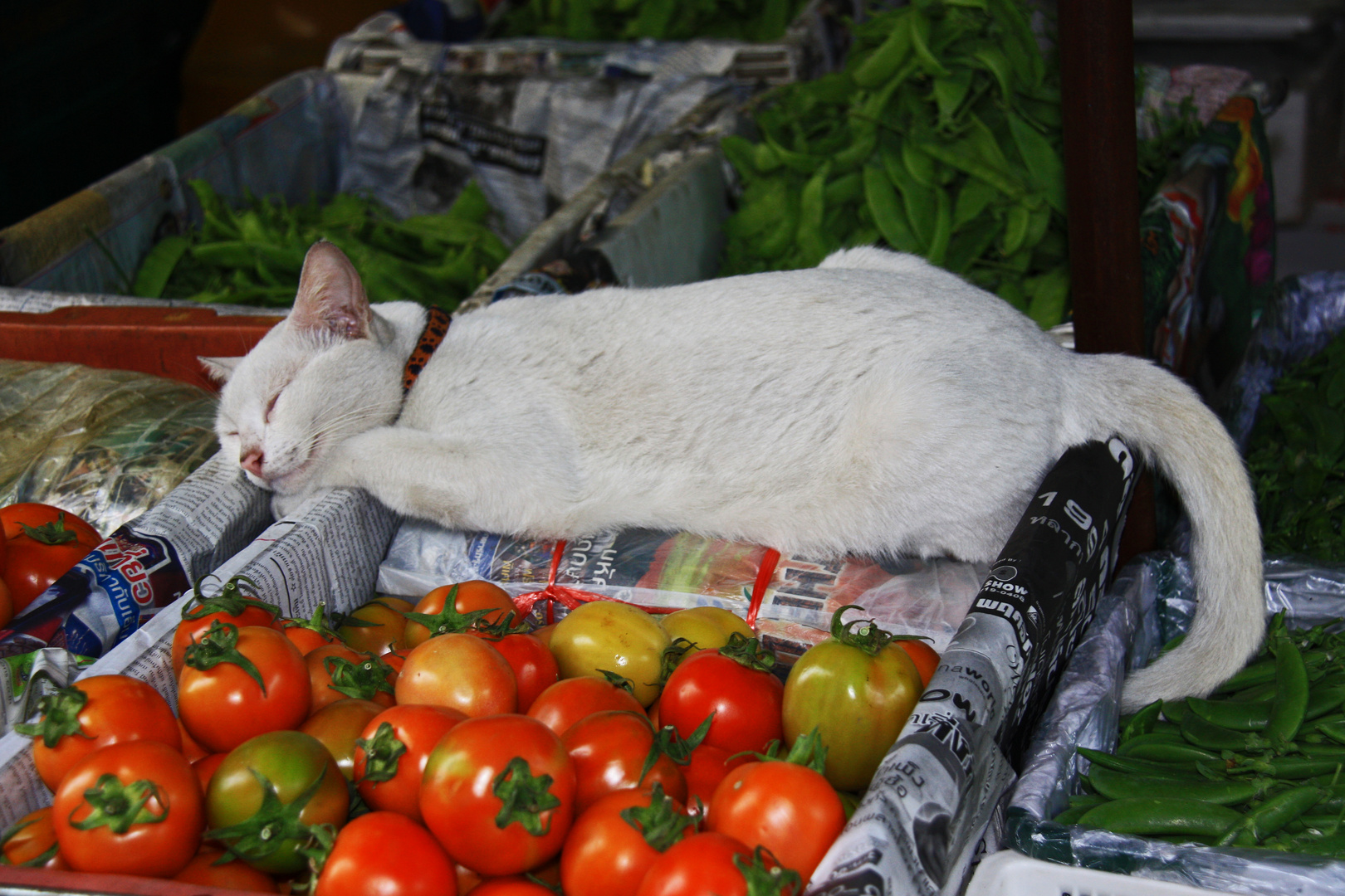 auf dem Flowermarket in Bangkok