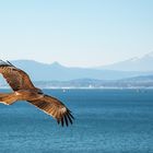 Auf dem Flug zum Fuji