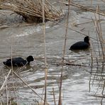 Auf dem Fluss