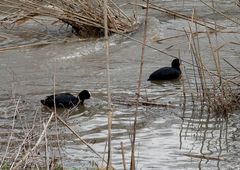 Auf dem Fluss