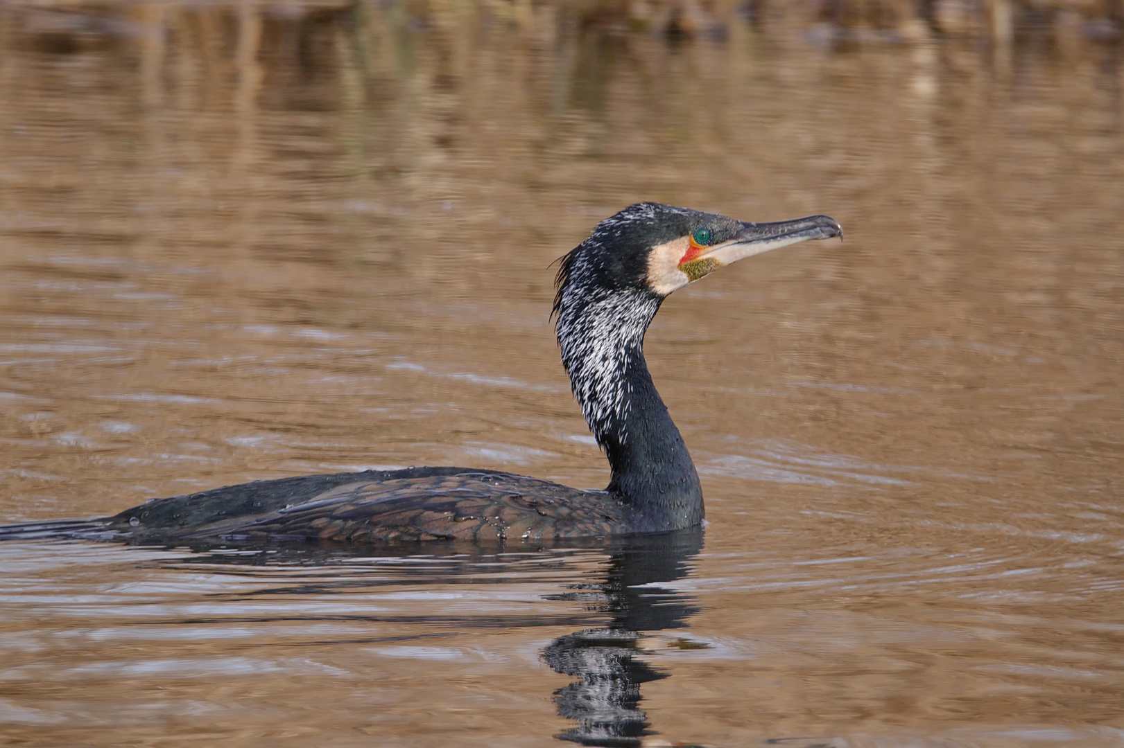 Auf dem Fluss