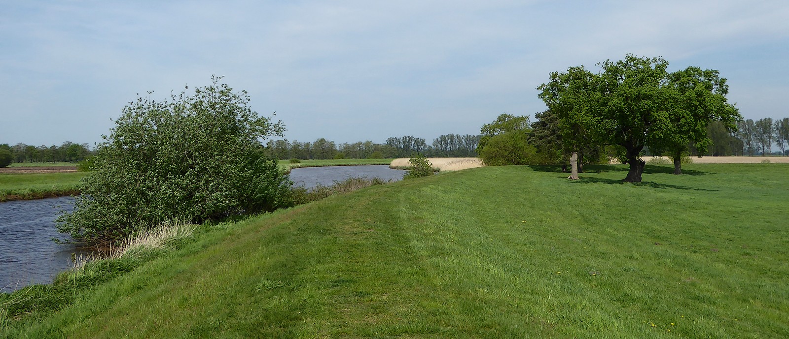 Auf dem Flussdeich