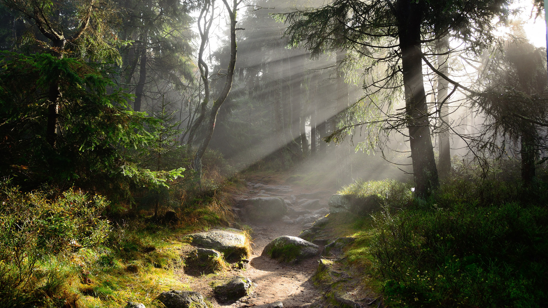 Auf dem Fränkischen Gebirgsweg durch den November-Nebel