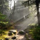 Auf dem Fränkischen Gebirgsweg durch den November-Nebel