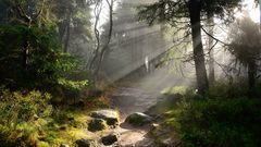 Auf dem Fränkischen Gebirgsweg durch den November-Nebel