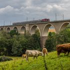 Auf dem Frankensteiner Viadukt