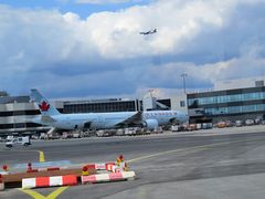 Auf dem Frankfurter  Flughafen