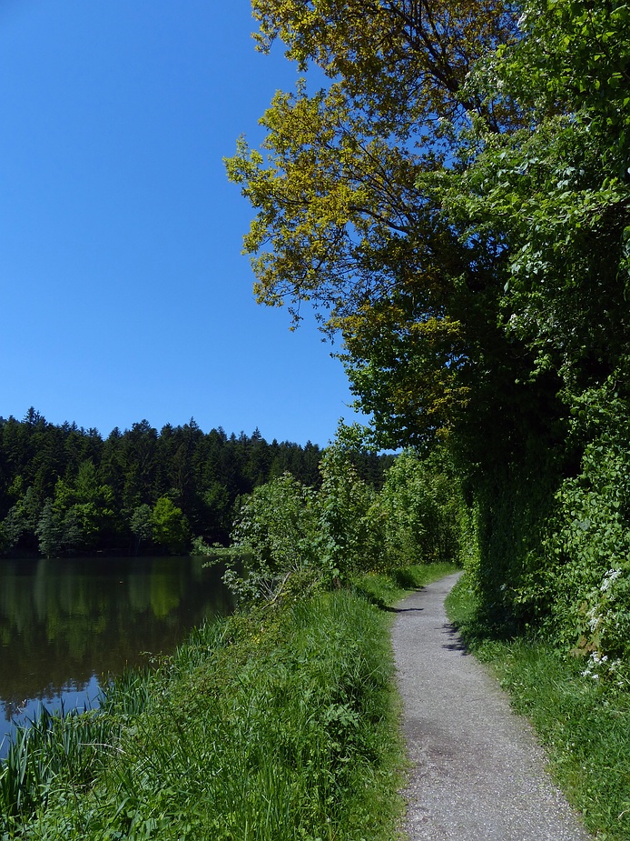 Auf dem Freudensee-Rundweg