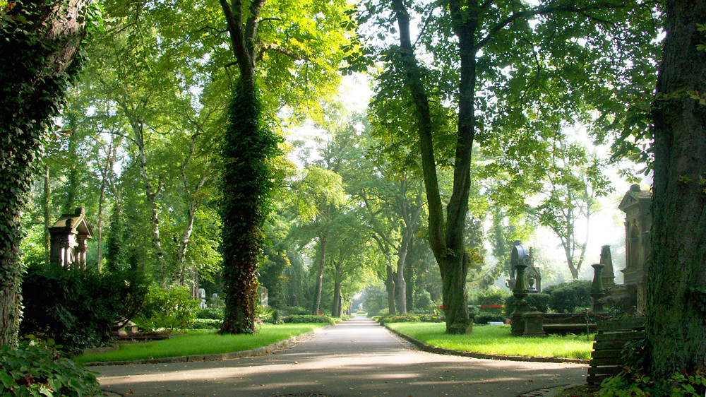 auf dem Friedhof 1