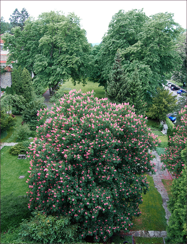 Auf dem Friedhof