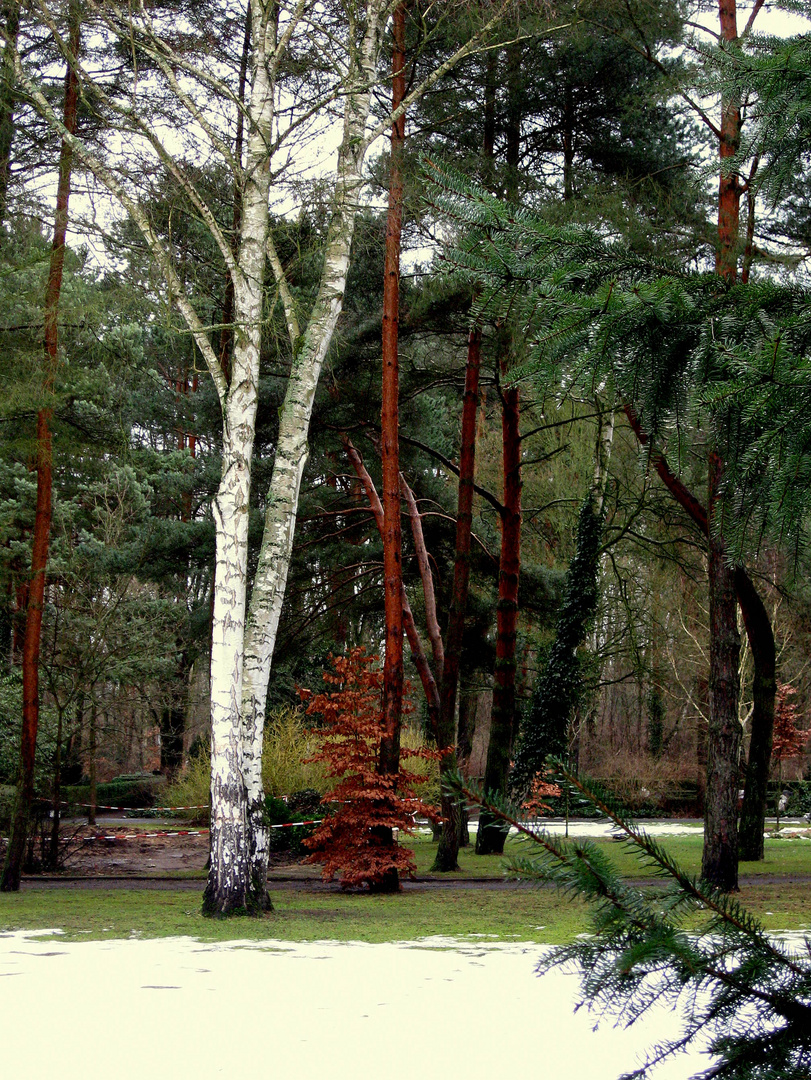 auf dem Friedhof