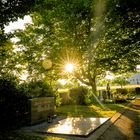 Auf dem Friedhof 