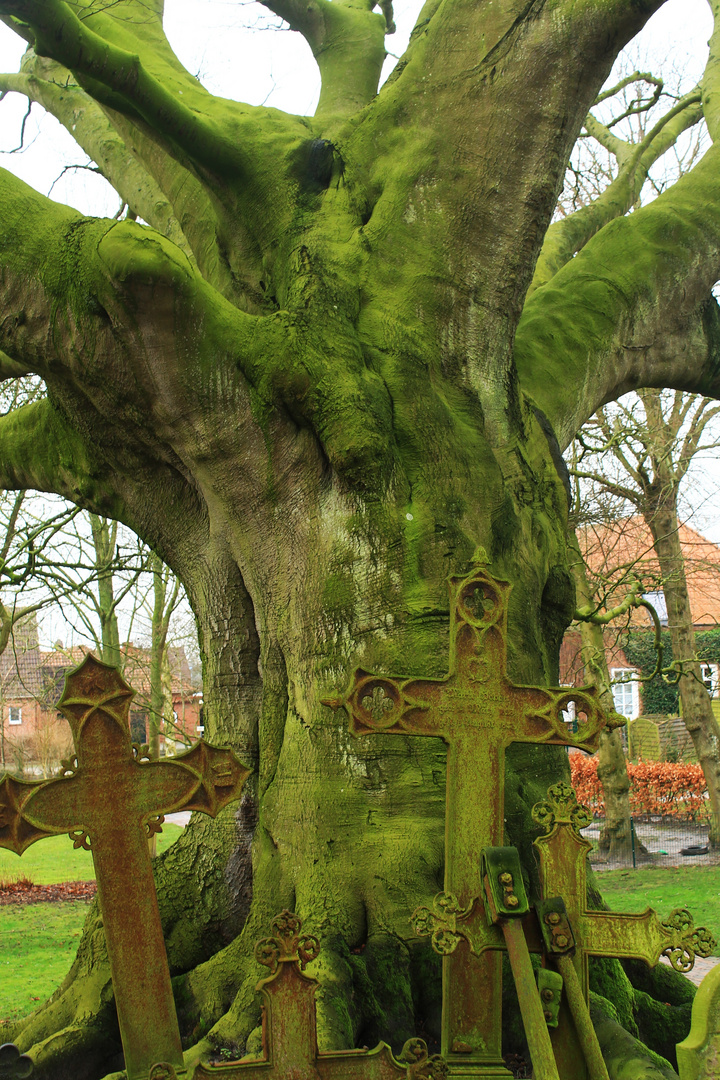 Auf dem Friedhof