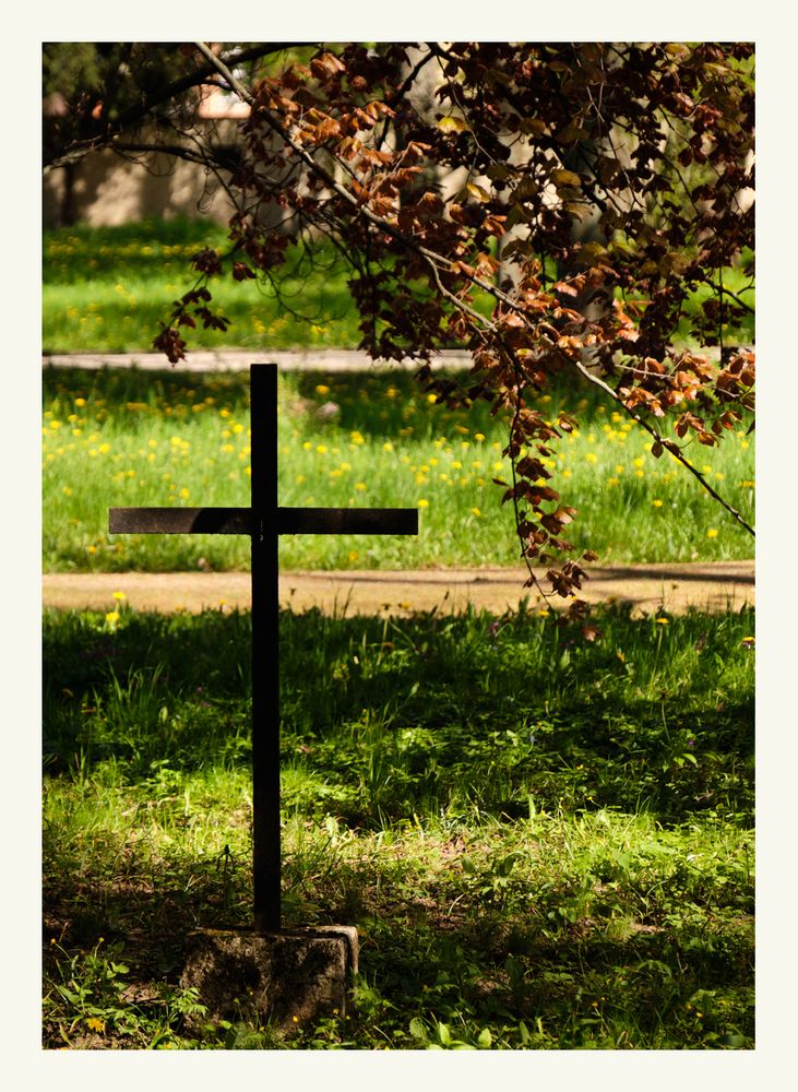 Auf dem Friedhof