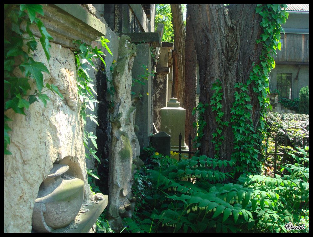 Auf dem Friedhof der Inneren Neustadt, Dresden