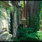 Auf dem Friedhof der Inneren Neustadt, Dresden