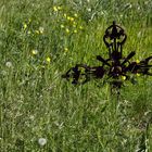 Auf dem Friedhof II