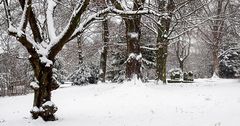 auf dem Friedhof ist es weihnachtlich