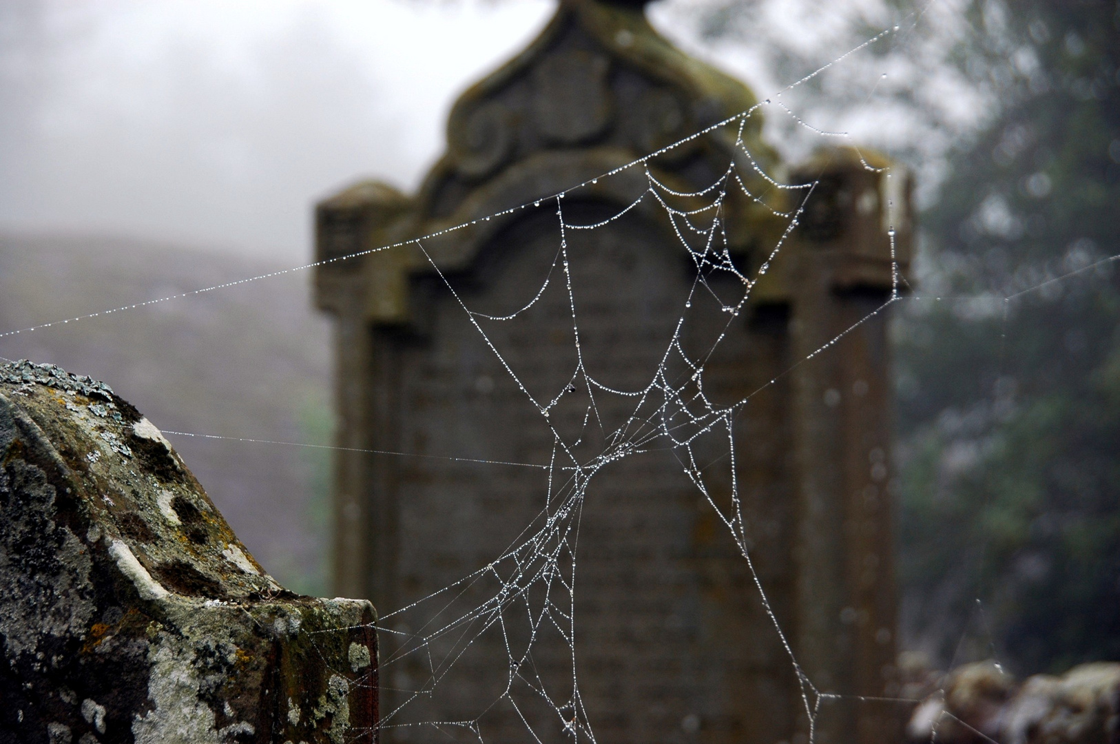 auf dem Friedhof von Aberlemno, Schottland