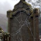 auf dem Friedhof von Aberlemno, Schottland