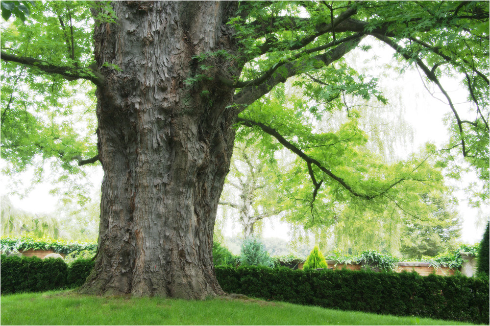 Auf dem Friedhof von Bad Nauheim