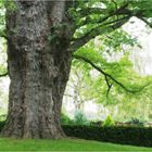 Auf dem Friedhof von Bad Nauheim