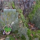 Auf dem Friedhof von Bad Nauheim (II)