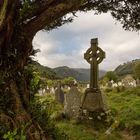 Auf dem Friedhof von Glendalough