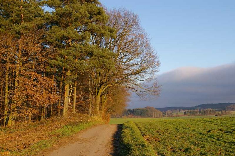 "Auf dem Gehren"