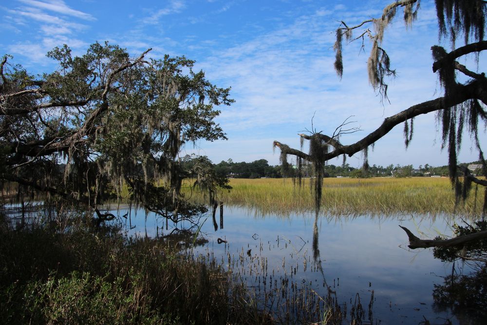 auf dem Gelände der Boone Hall Plantage