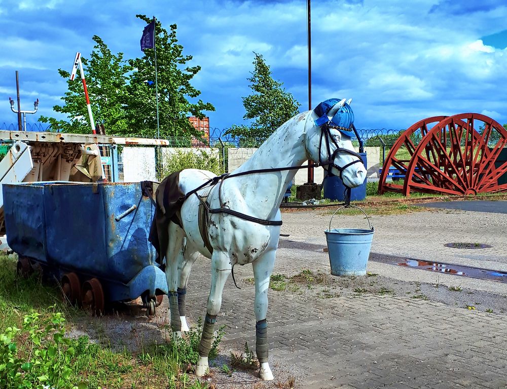 Auf dem Gelände der Zeche Hugo in Gelsenkirchen