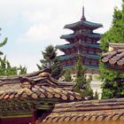 auf dem gelände des gyeongbokgung palastes 1