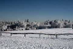 Auf dem Gipfel des Feldberges