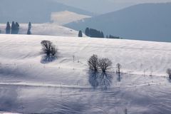 Auf dem Gipfel des Stohren - Münstertal