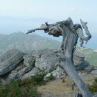 Auf dem Gipfel des Ypsario (Thassos)