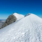 Auf dem Gipfelgrat des Großvenedigers