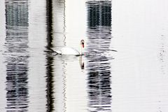 Auf dem Glückburger Schloßsee ...