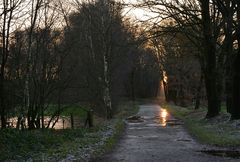 Auf dem goldenen Weg