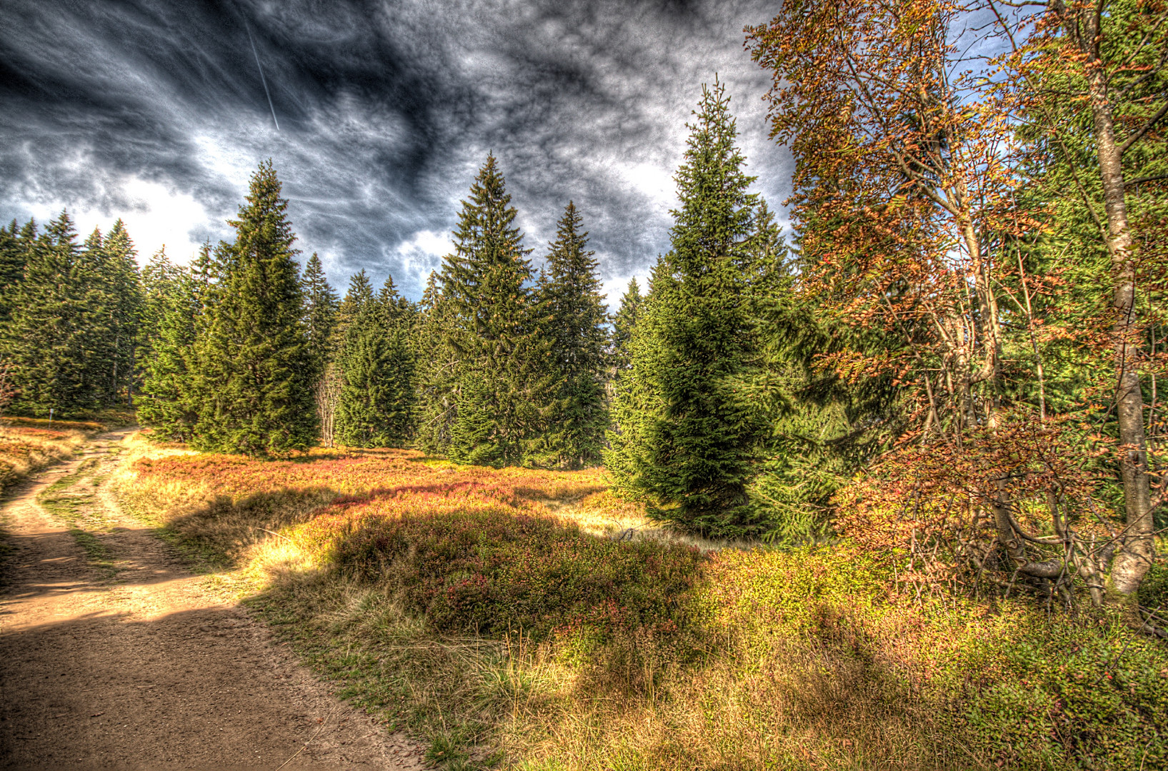 Auf dem Goldsteig