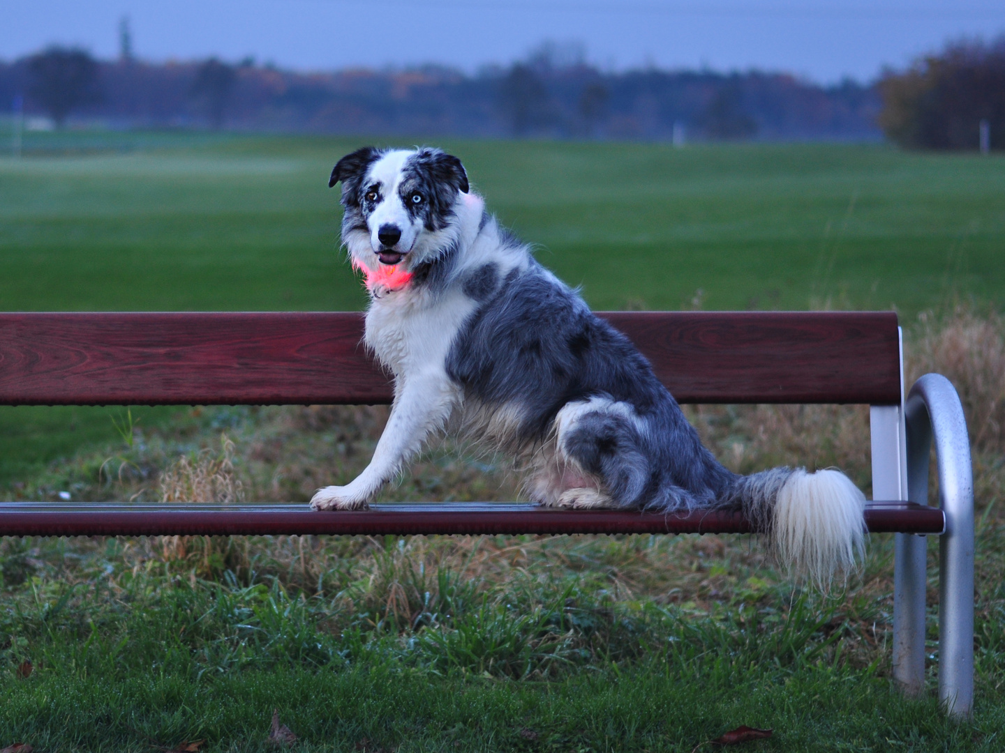 Auf dem Golfplatz